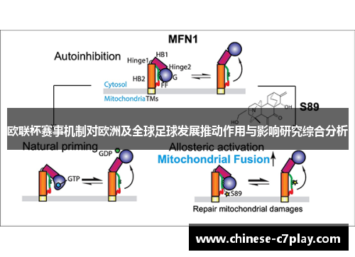 欧联杯赛事机制对欧洲及全球足球发展推动作用与影响研究综合分析