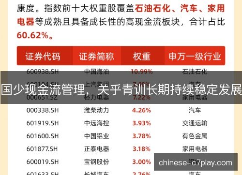国少现金流管理,关乎青训长期持续稳定发展 国少现金流管理,关乎青训长期持续稳定发展