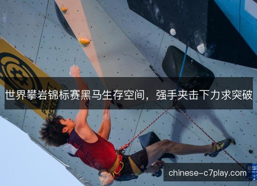 世界攀岩锦标赛黑马生存空间，强手夹击下力求突破